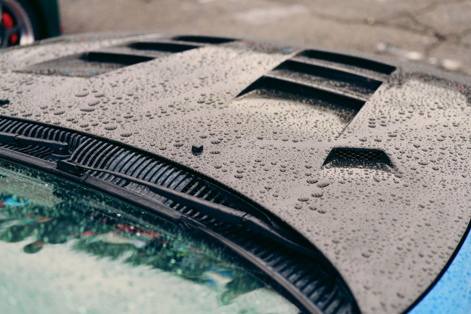 Water beading on a coated car hood